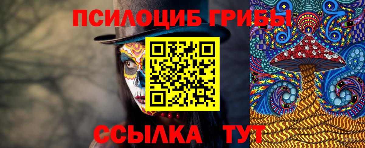 Менделеевск  Галлюциногенные грибы GOLDEN TEACHER  Вход с VPN 